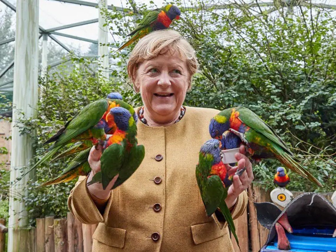 Angela Merkel finaliza su mandato rodeada de loros.