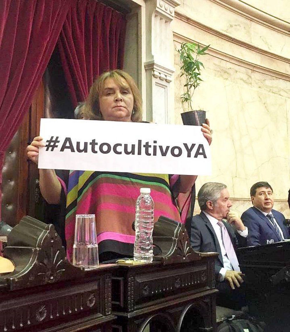 Diputada nacional reclama por el autocultivo durante el discurso de Macri - Foto THC