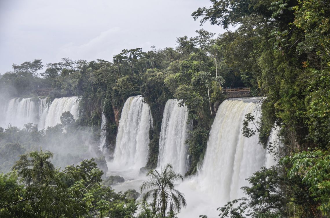 Paisaje del Parque Nacional Iguazú