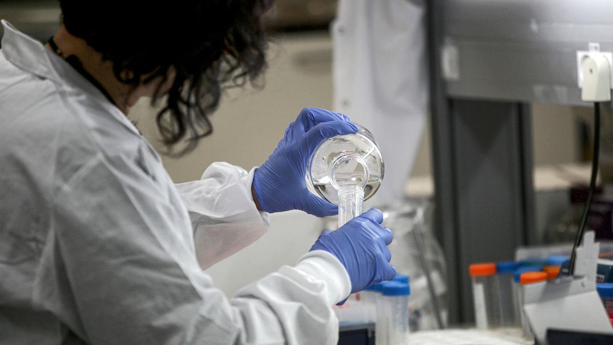 Pena Infectado Coronavirus: detectan hongo que causa infección en pacientes graves