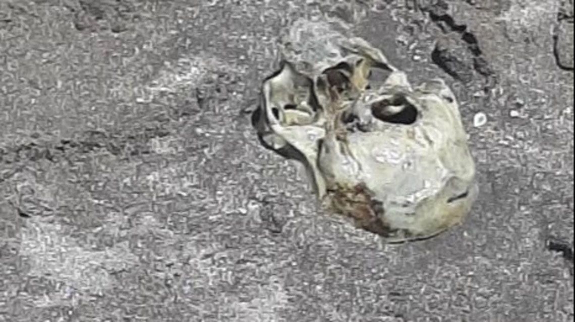 Mar del Plata: un grupo de chicos encontró un cráneo en la playa