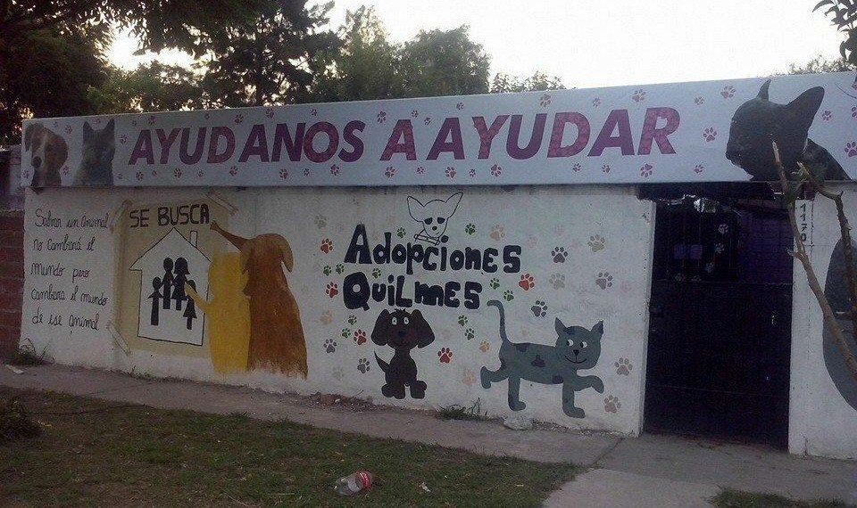 En Adopciones Quilmes se duplicó el pedido de mascotas durante la cuarentena.