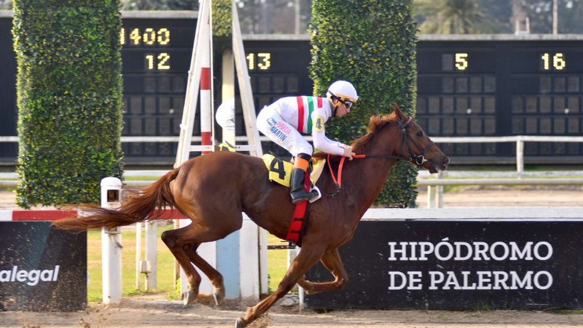 Programa de las carreras de hoy en el Hipódromo de Palermo