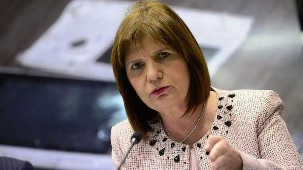 Patricia Bullrich Se Toma Licencia En La Presidencia Del PRO