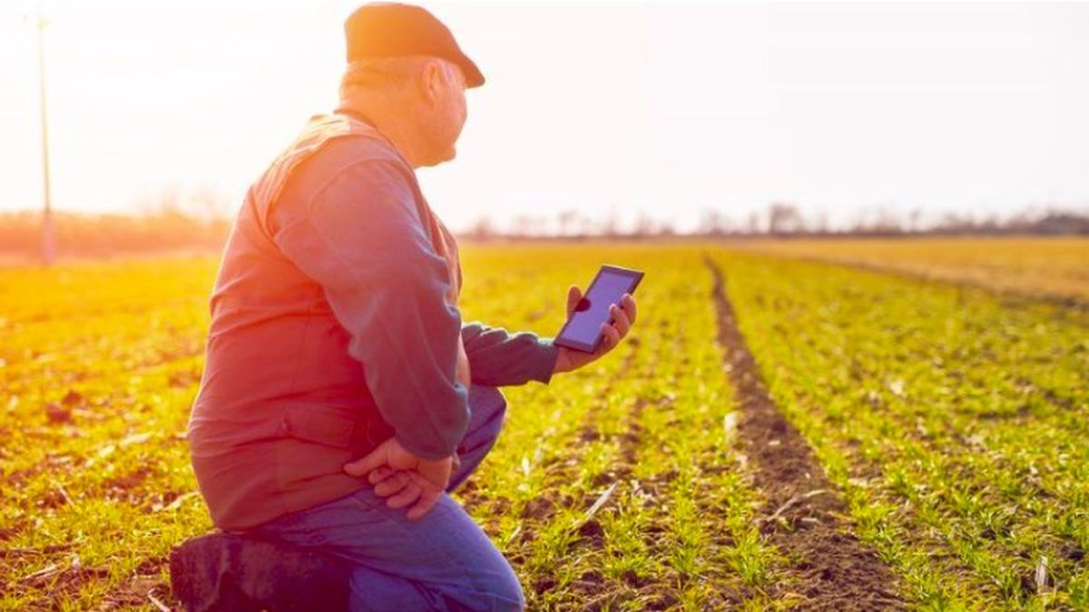 In the field предложения. Агроном в поле. Агрономия фон. Агроном в поле картинки. Farmer.