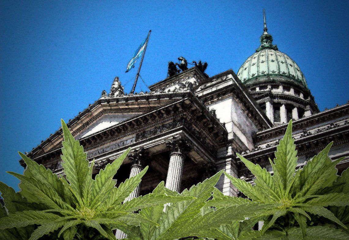 Debate sobre cannabis para todos sus usos en Cámara de Diputados: Causas por cultivo de marihuana y derechos de los cultivadores