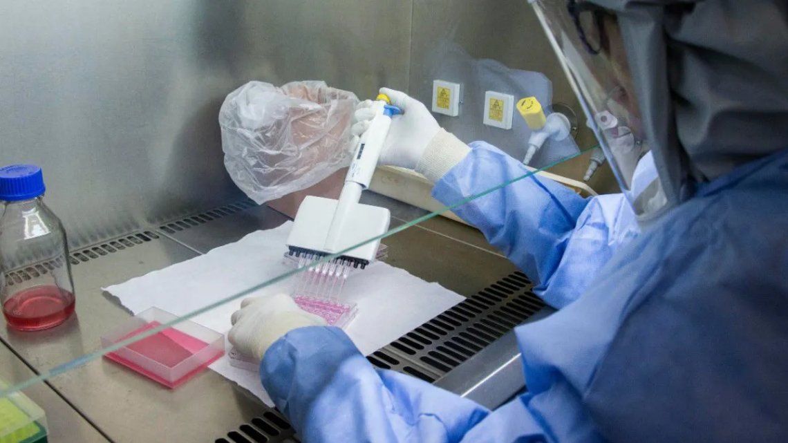 El Instituto Malbrán descartó que haya una cepa argentina del nuevo coronavirus  