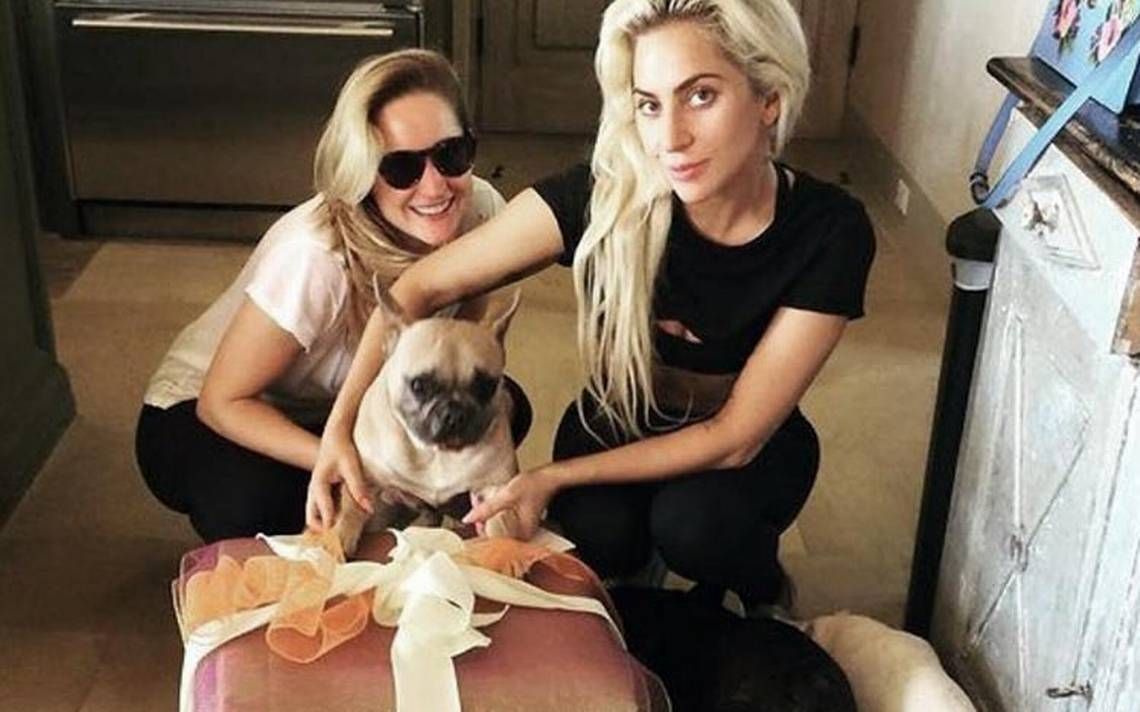 Ladrón de perros de Lady Gaga queda en libertad por error.