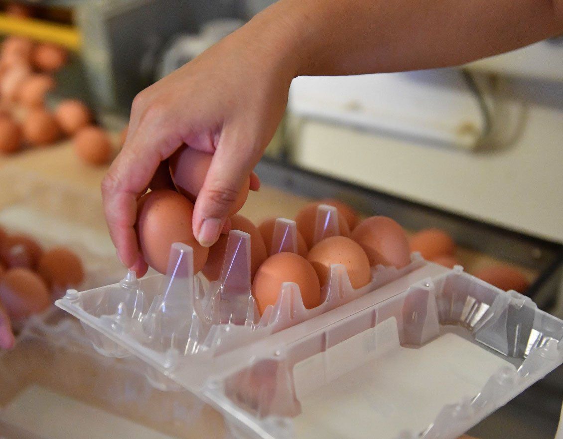 Lechuga, harina y huevos: los productos con más inflación en el primer semestre