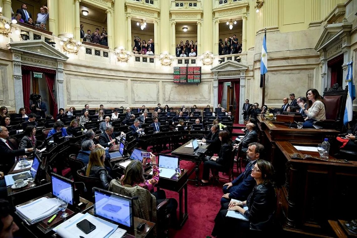 El Senado tratará este jueves la suspensión de las PASO.