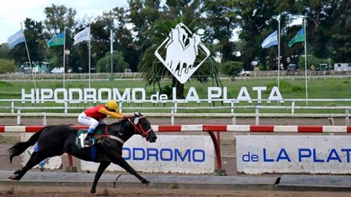tuberculosis Bañera Incompetencia Resultados de las carreras de ayer en La Plata