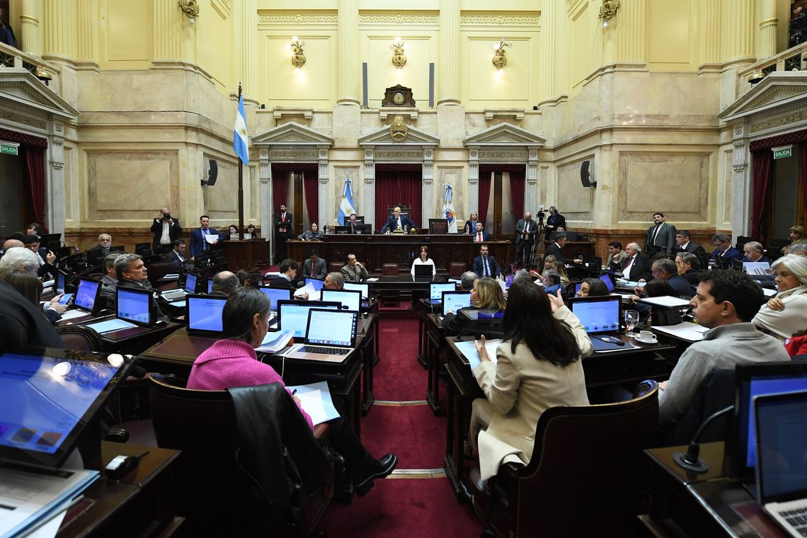 El Senado rechazó el veto a la emergencia en Discapacidad