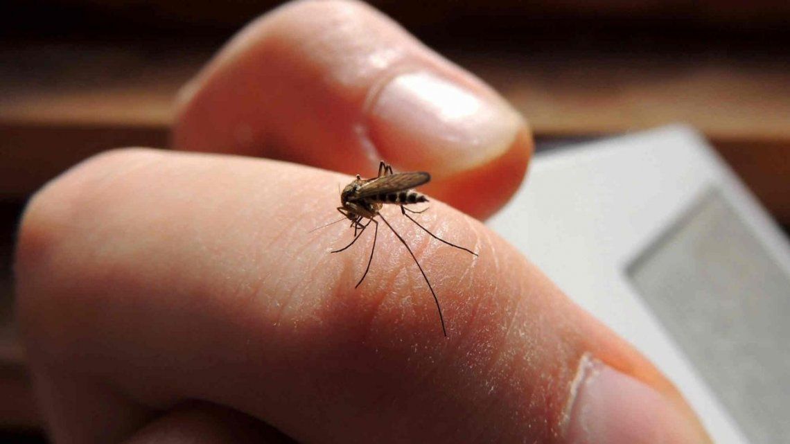 Ya son 22 los casos de dengue autóctono
