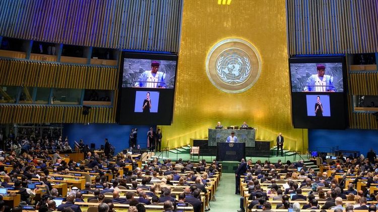 Asamblea de las Naciones Unidas.&nbsp;