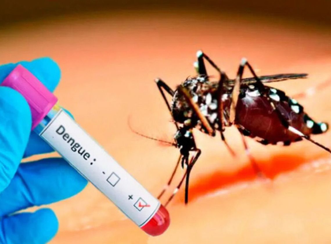 Aumentan los casos de dengue en todo el país