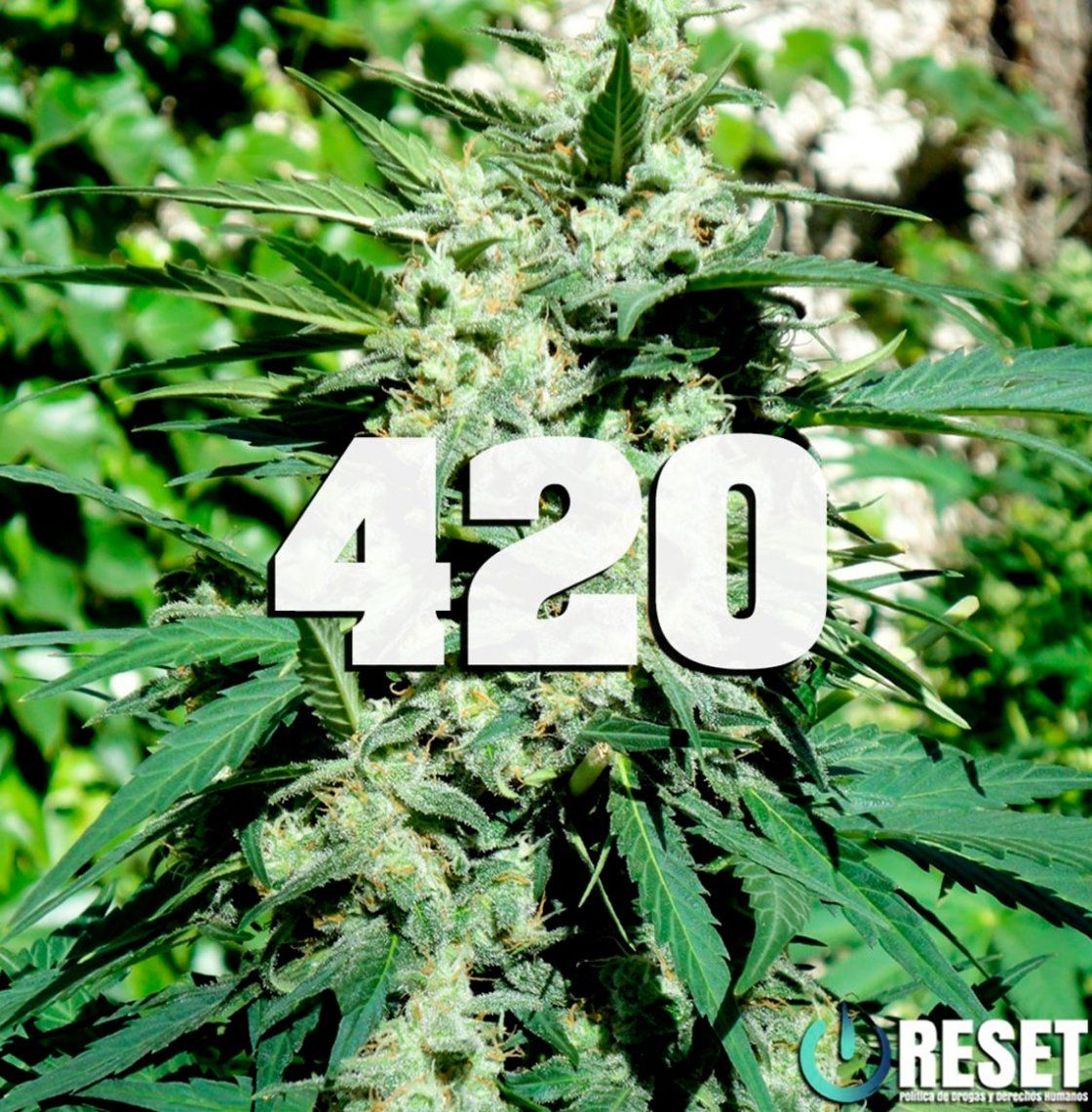 Día internacional de la marihuana: ¿Cuál es la verdadera historia del código 420?