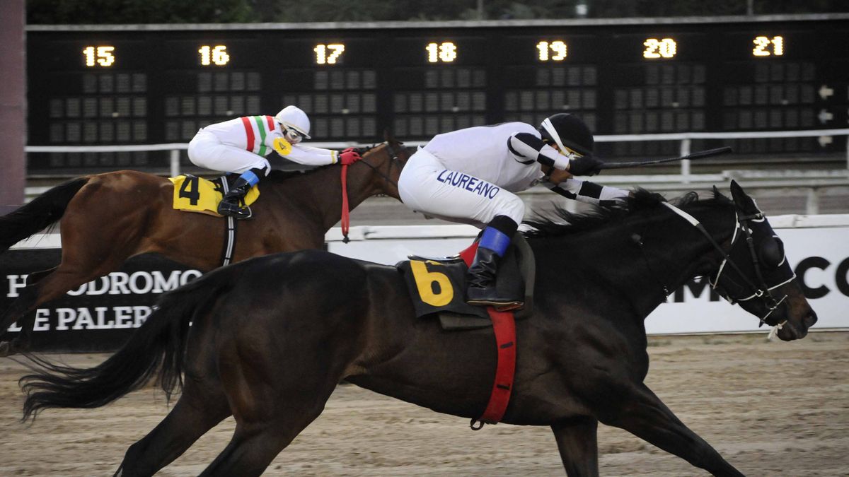 Programa de las carreras de hoy en el Hipódromo de Palermo
