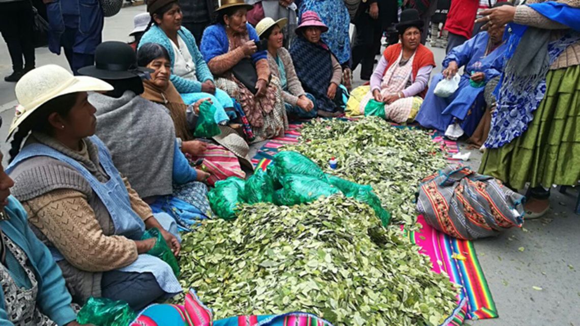 En Bolivia el consumo de hojas de coca forma parte de su cultura ancestral