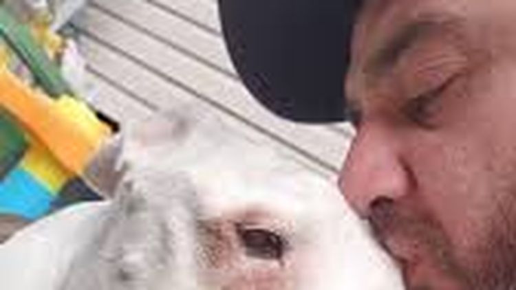 Un influencer grabó un emotivo video compartiendo sus últimos momentos con su mascota.