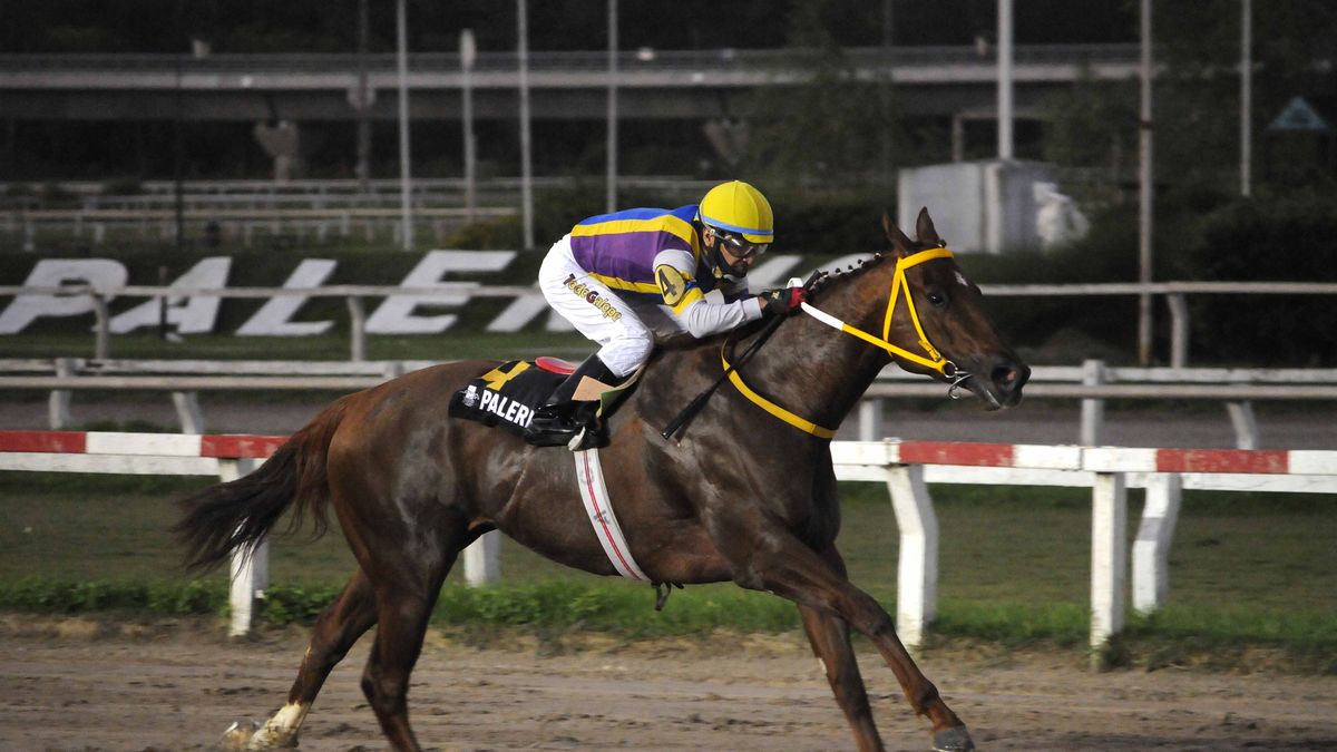 Programa y candidatos para hoy en el Hipódromo de Palermo