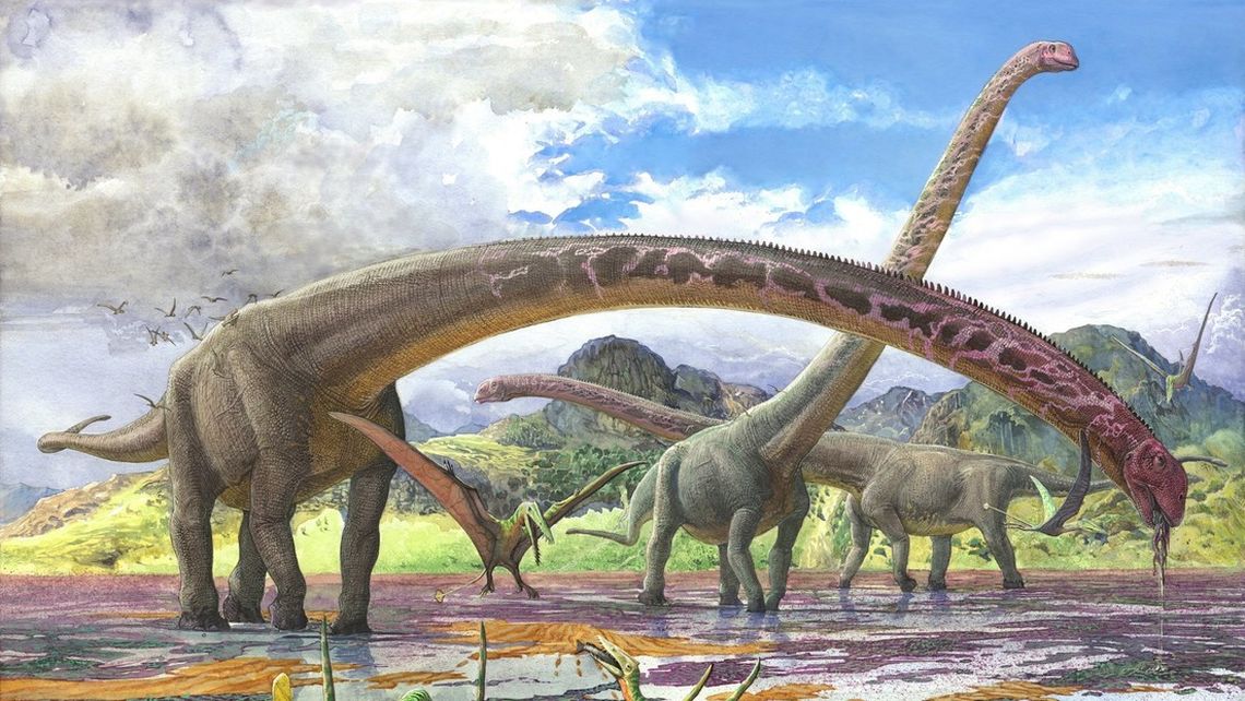 Descubren el fósil de dinosaurio con el cuello más largo conocido.