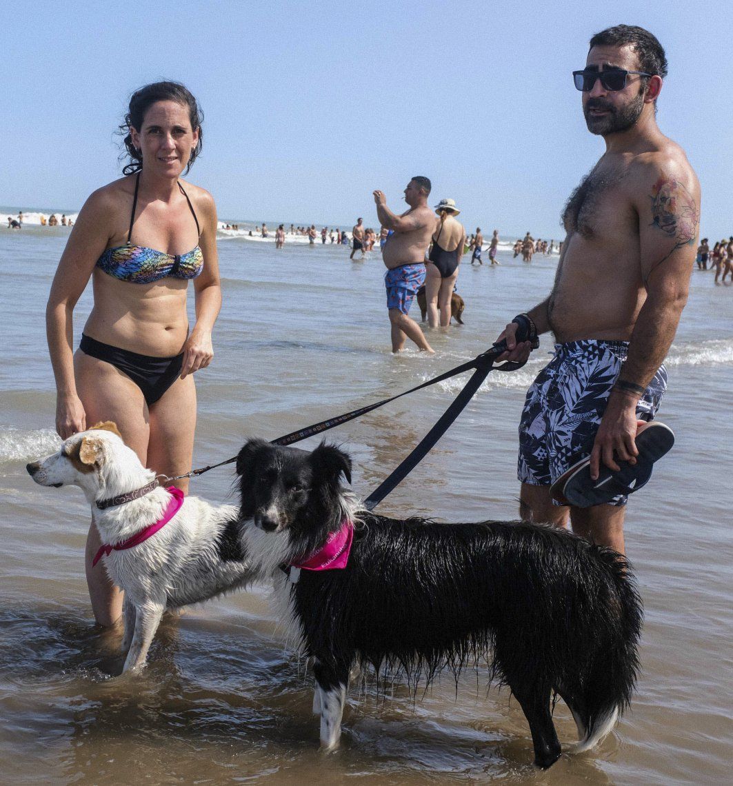 Los perros tienen una playa exclusiva en Mar del Plata