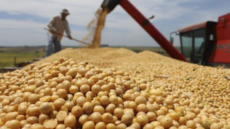 El campo volvió a expresar su malestar con el gobierno de Javier Milei.