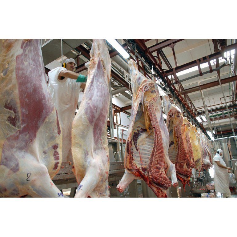 Uruguay exportó el doble de carne bovina que la Argentina en 2015