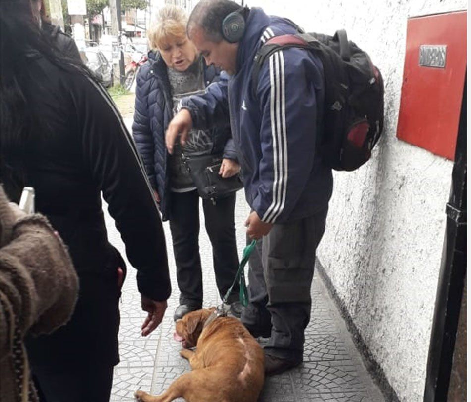 Quilmes: detuvieron al Loco del pitbull en San Francisco Solano