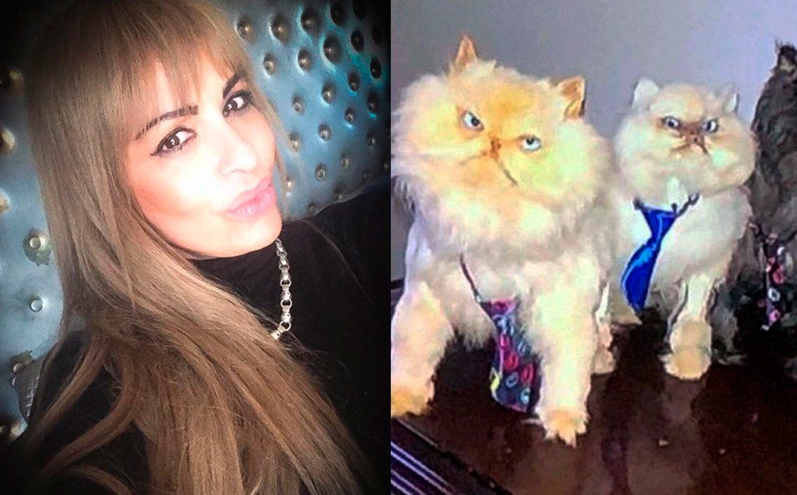 Daniela Cardone no entierra a sus gatos: los embalsama y duerme con ellos