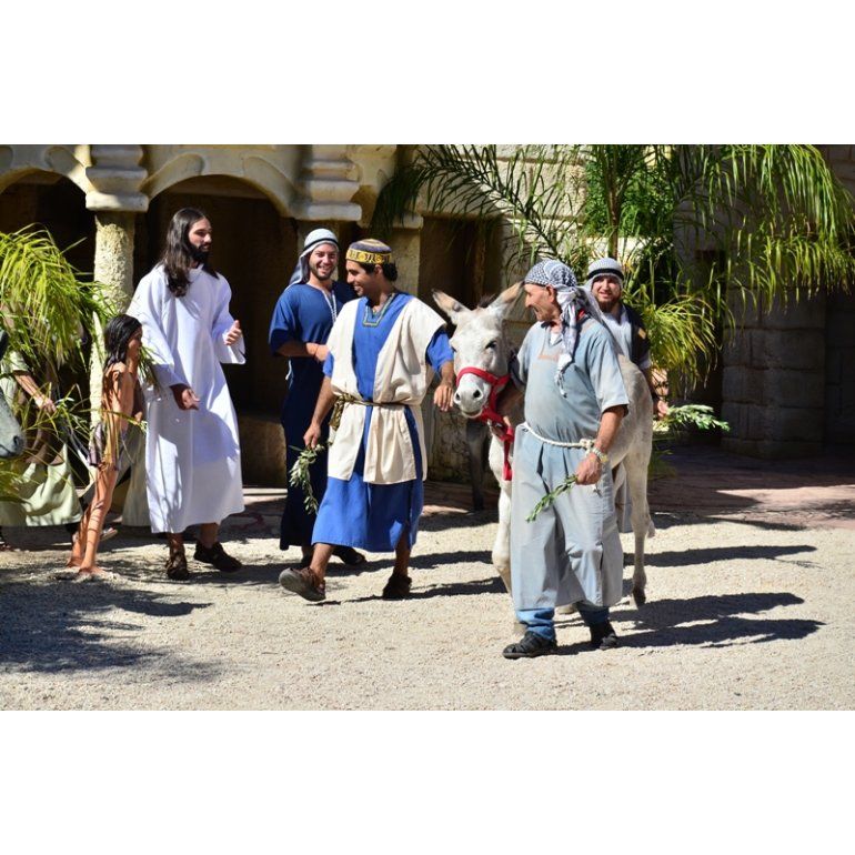 Tierra Santa ya recibió 5 millones de visitantes