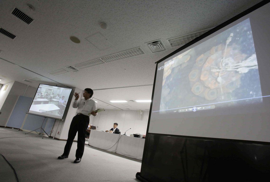 Analizan posible combustible radiactivo en Fukushima