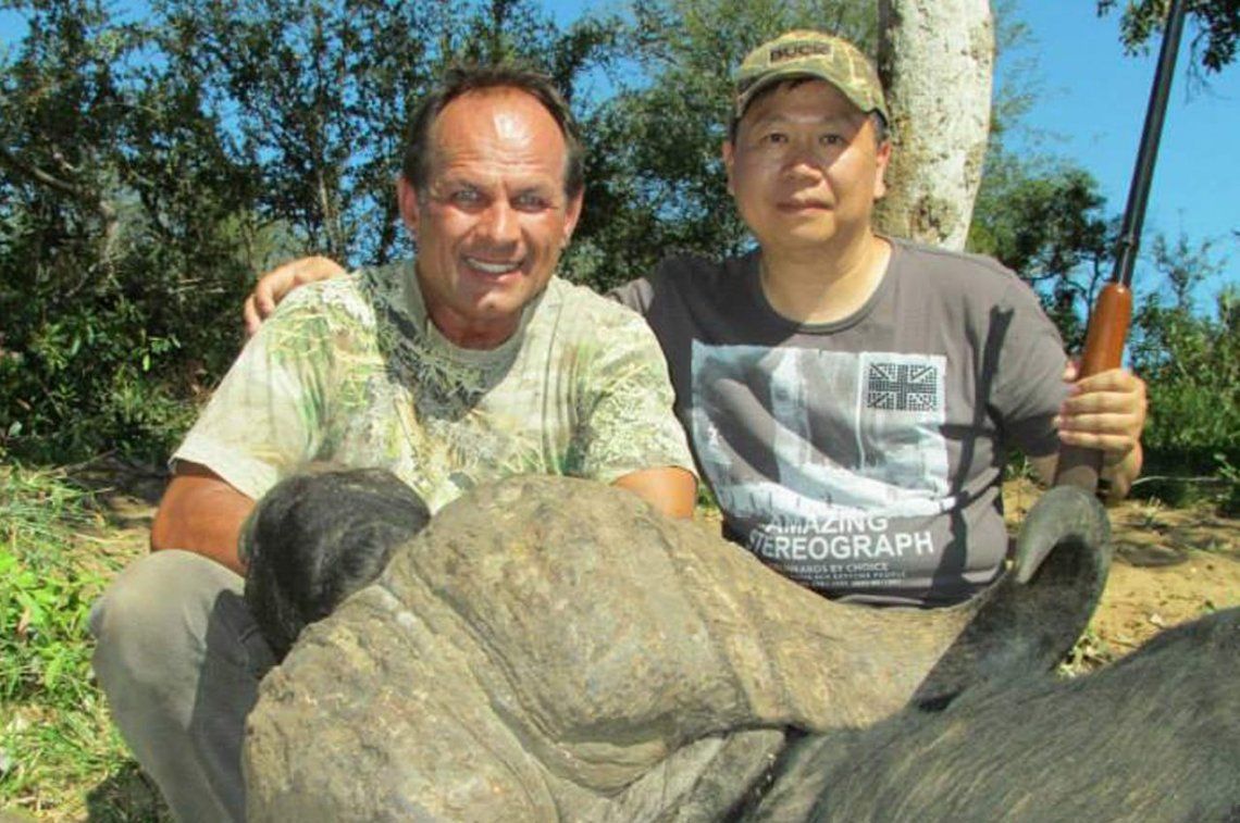 El cazador cazado: mató un búfalo en un safari y murió cuando otro animal de la manada se cobró venganza