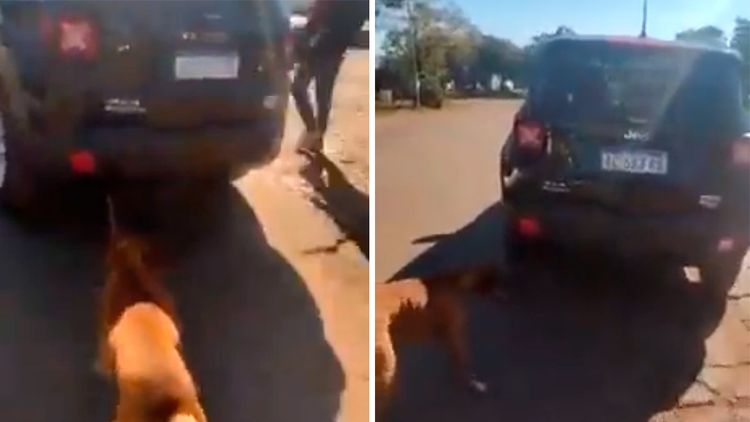 Misiones: arrastraba un perro con su auto para sacrificarlo, fue escrachado y detenido