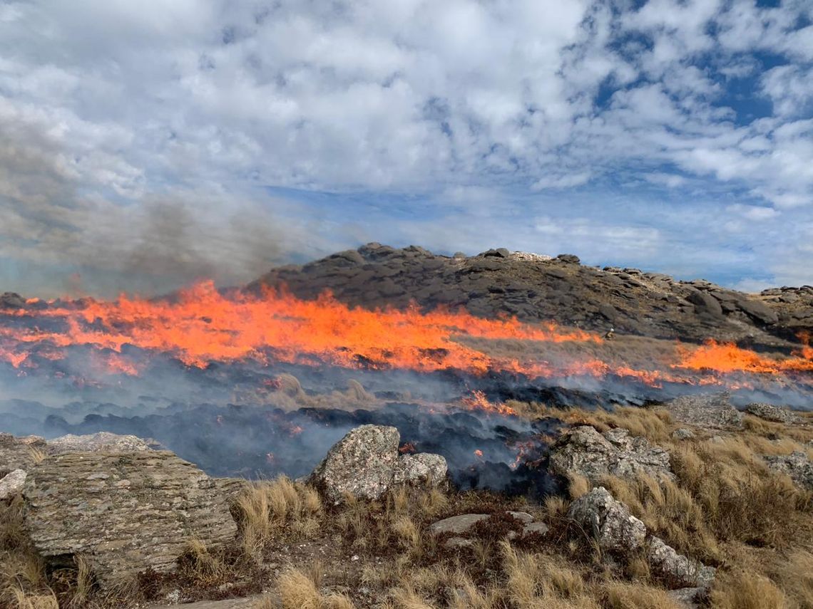Se quemaron mas de 3500 hectáreas del Cerro Champaquí de Córdoba