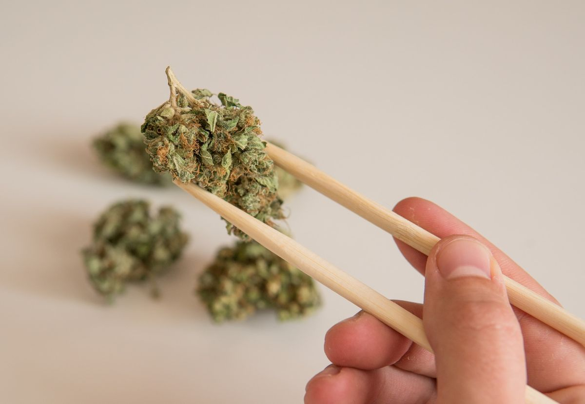Prueban que el cannabis era un alimento básico en la antigua China