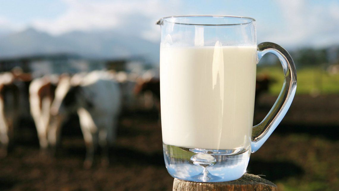 Cayó 33% la producción de leche y 3,2 millones de hogares dejaron de tomar yogur