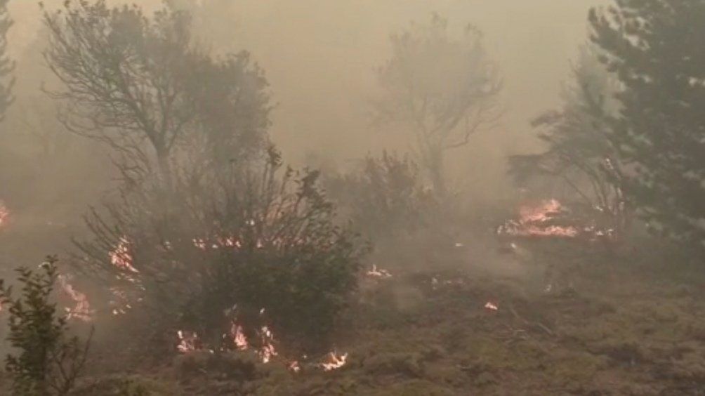 Río Negro y Chubut: combaten el fuego. 