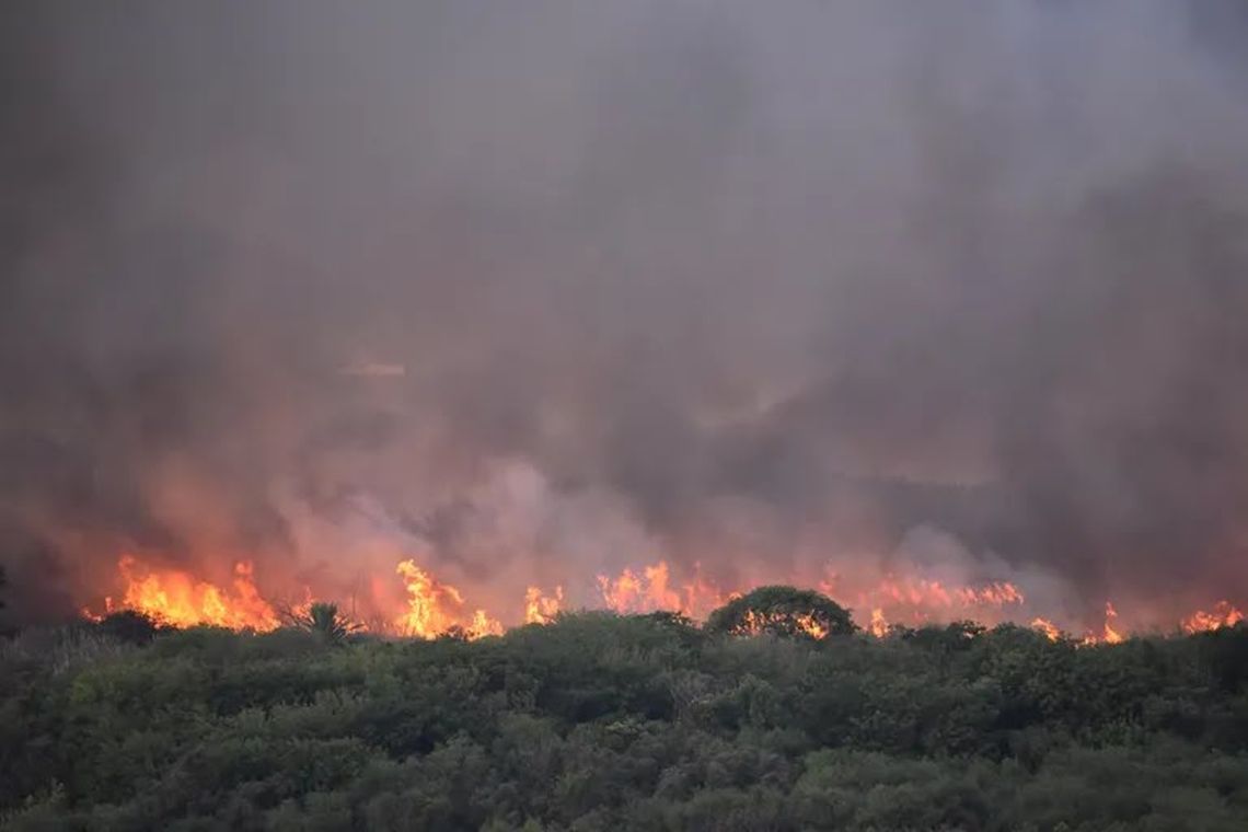 Incendio en la Reserva Ecológica.