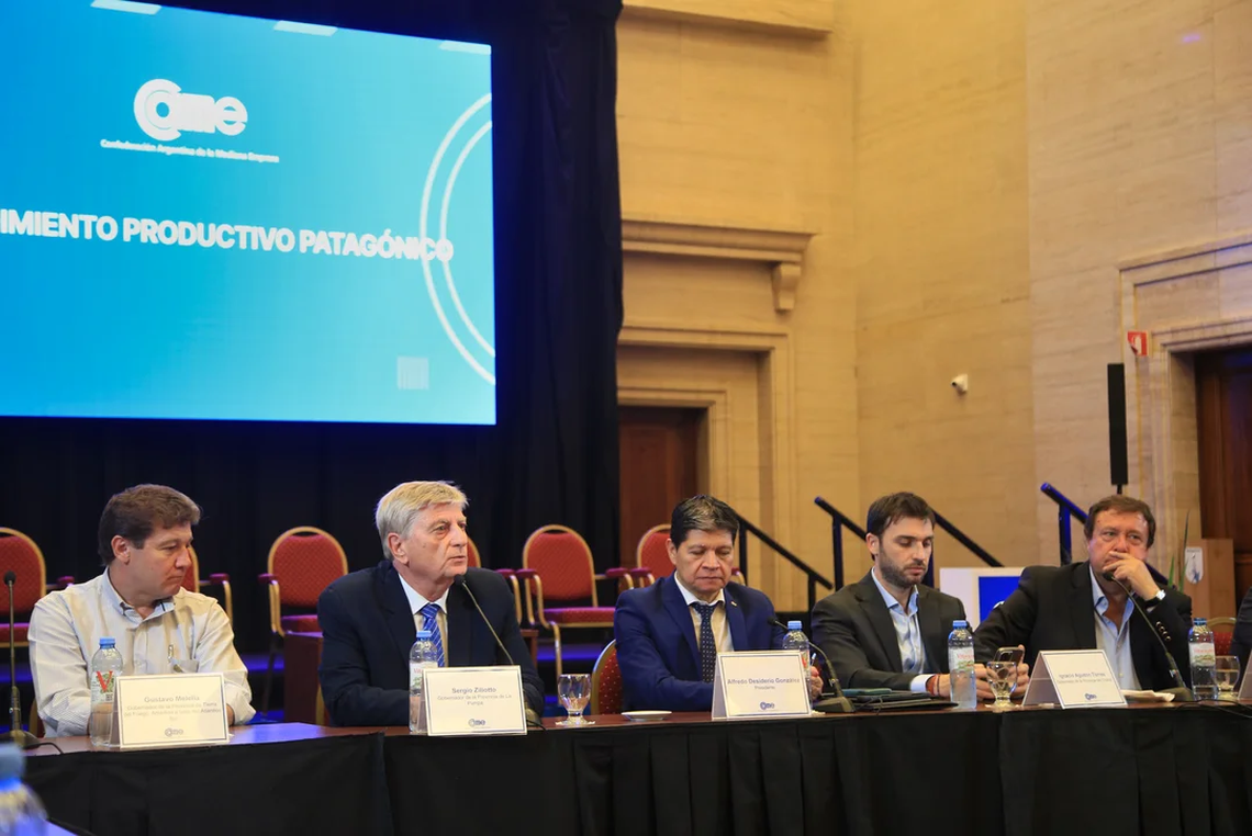 Los gobernadores de cinco provincias patagónicas solicitaron al Congreso de la Nación el tratamiento “urgente” de la ley de Emergencia Ígnea.