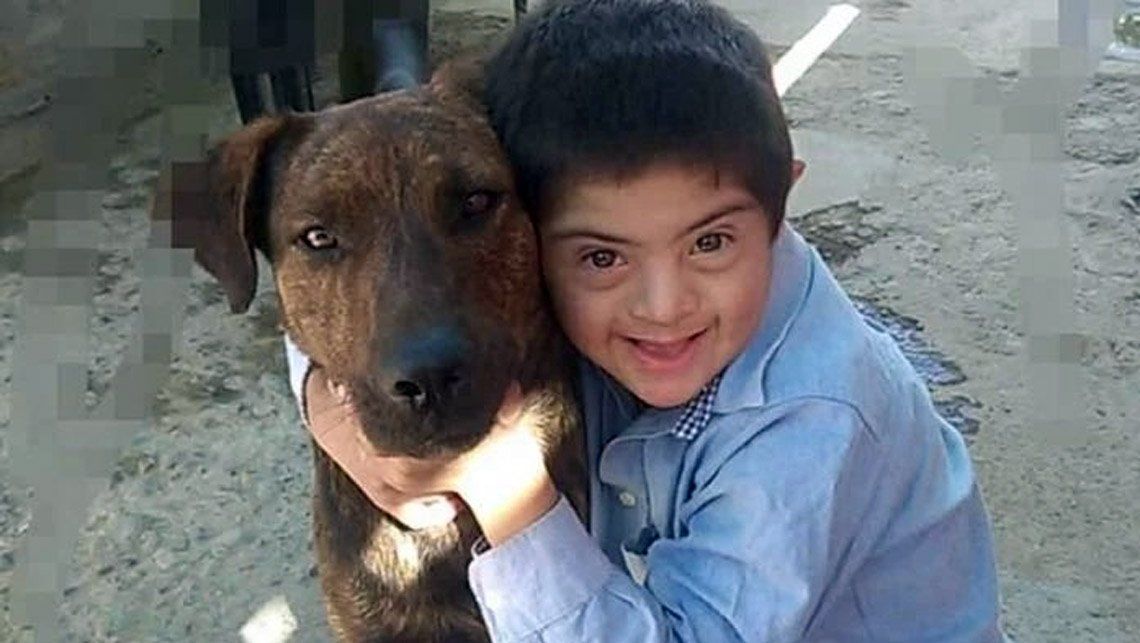 Envenenaron y mataron al perro guía de un niño con síndrome de Down