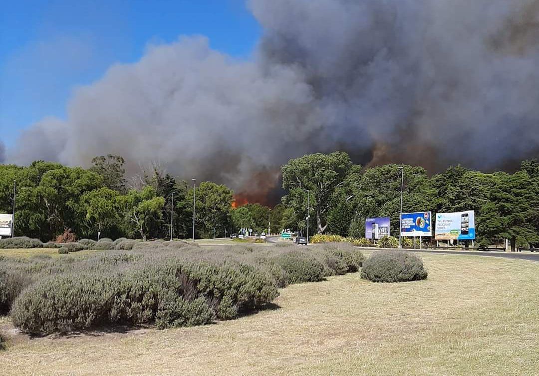 Villa Gesell: voraz incendio arrasó con más de 50 hectáreas de pastizales y bosque