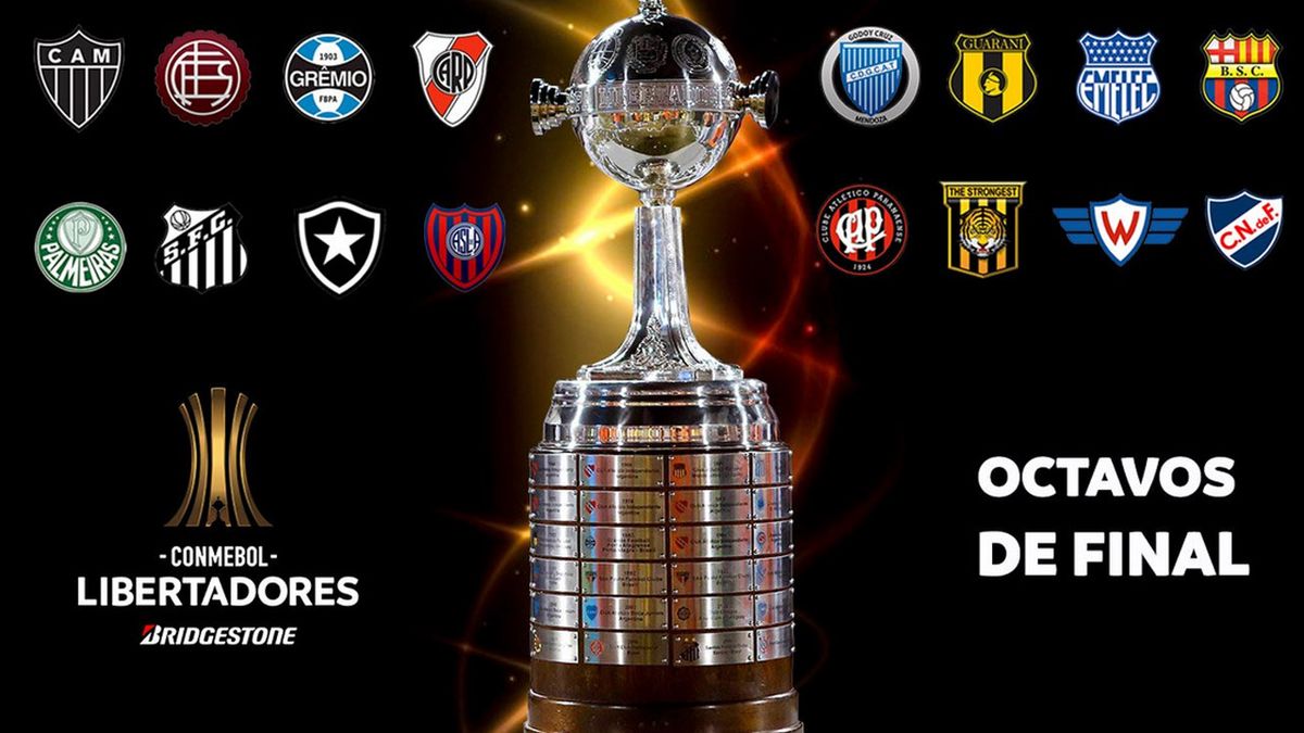 Copa Libertadores Tv Rights