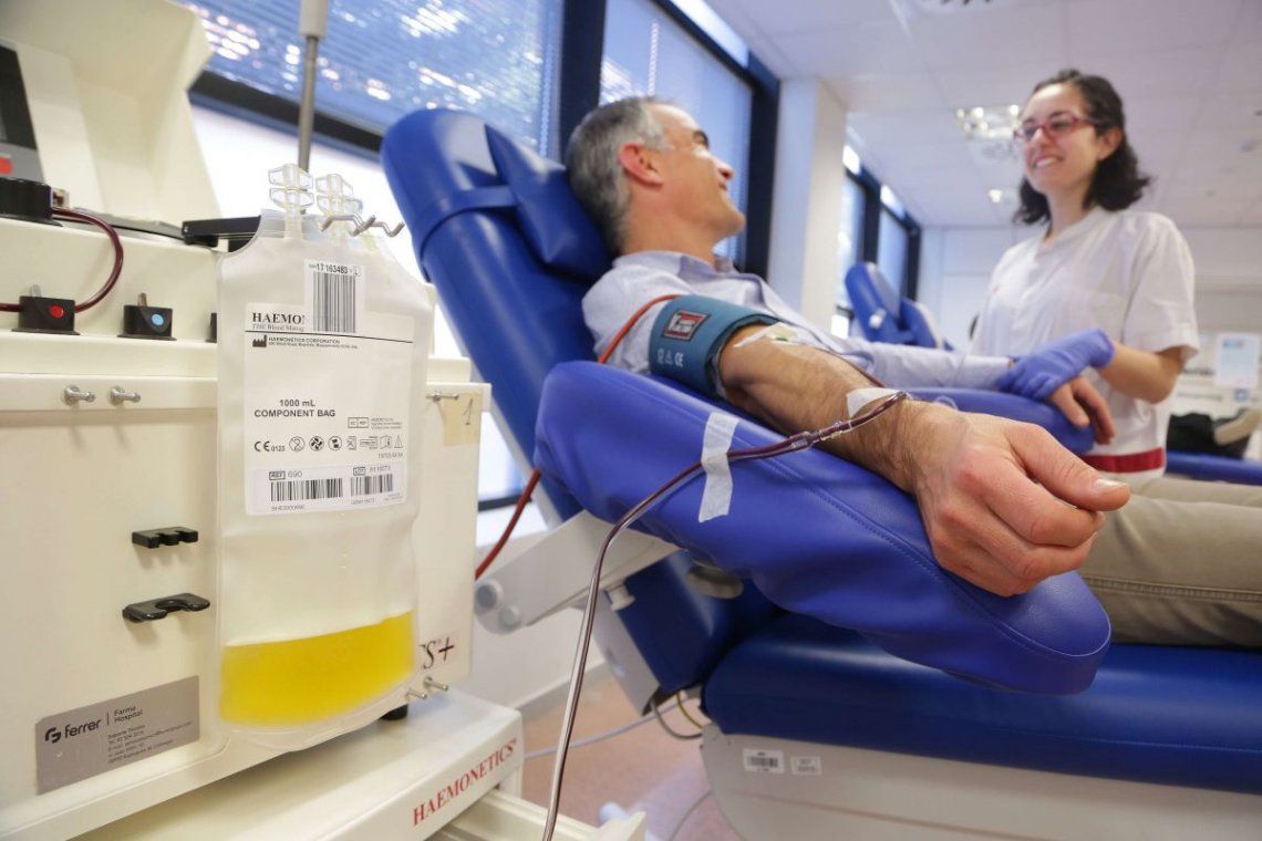 Donación de plasma: cómo es la ley para la campaña nacional
