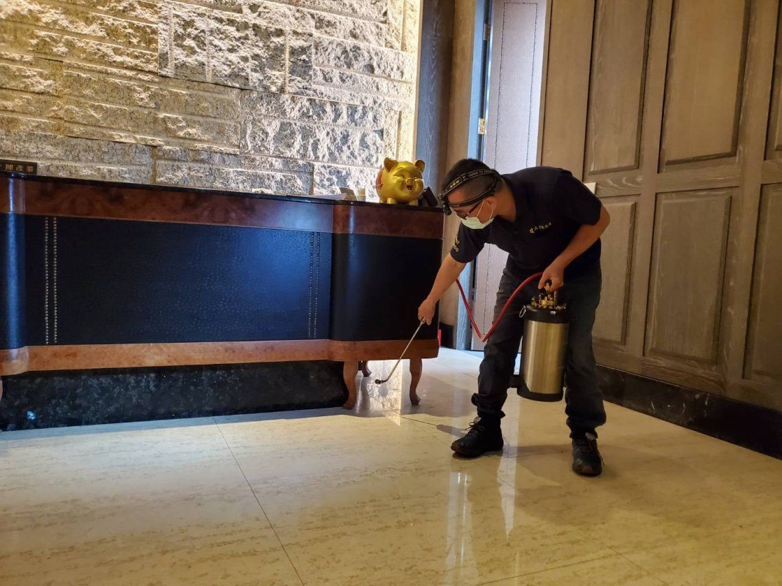 China: atacan un restaurante tirándole 1.000 cucarachas