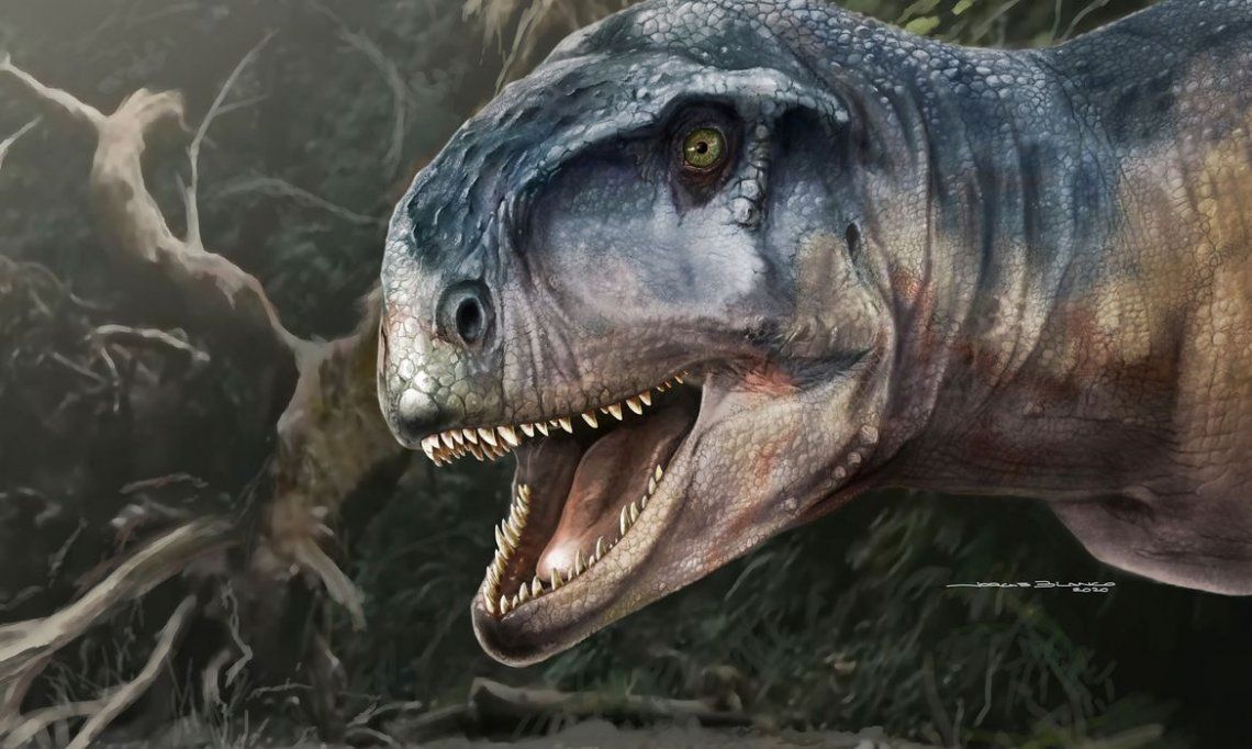 Patagonia: descubren una feroz nueva especie de dinosaurio