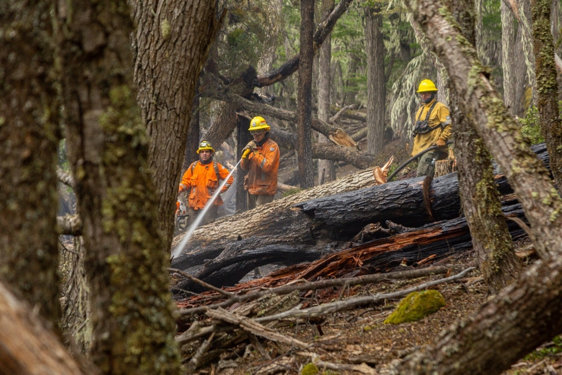 Incendios ya afectaron cerca de 5.000 hectáreas en Tierra del Fuego.