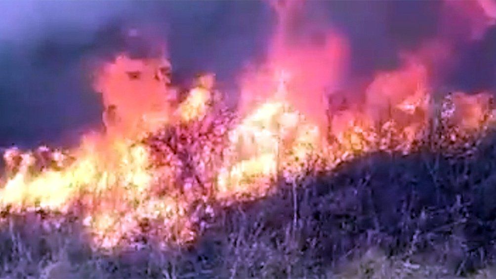 Incendios forestales: combaten focos activos en San Luis y Jujuy