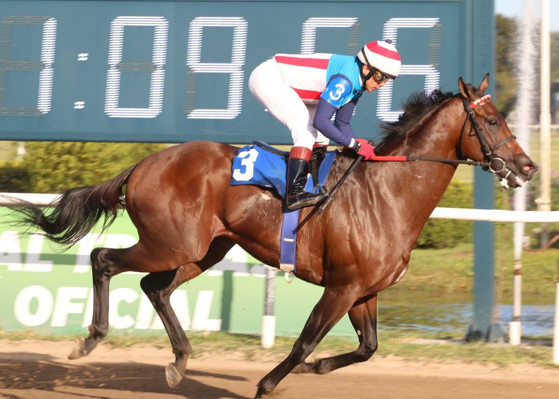 Hipódromo de San Isidro.