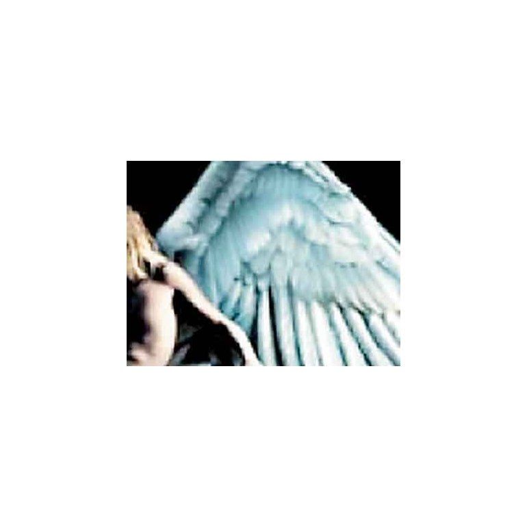 ANGELOLOGY